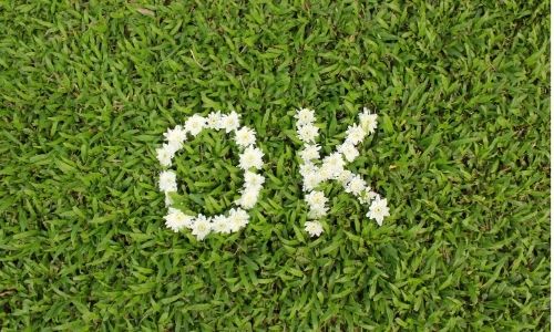 いい葬儀の評判は悪い 口コミを調査 メリット デメリットも解説 葬儀ラボ